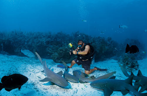 Plongée sous-marine, Belize, 2024